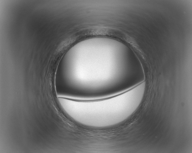 X0000081610681200701151121