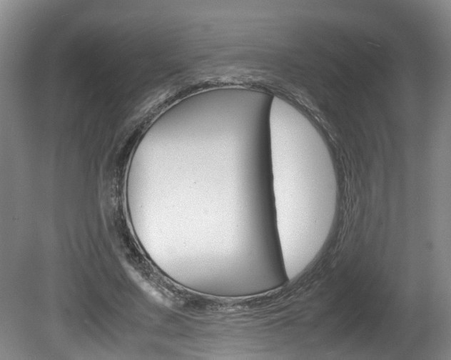 X0000081610683200701151121