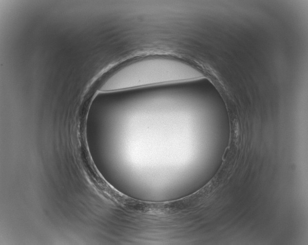 X0000081610684200701151120