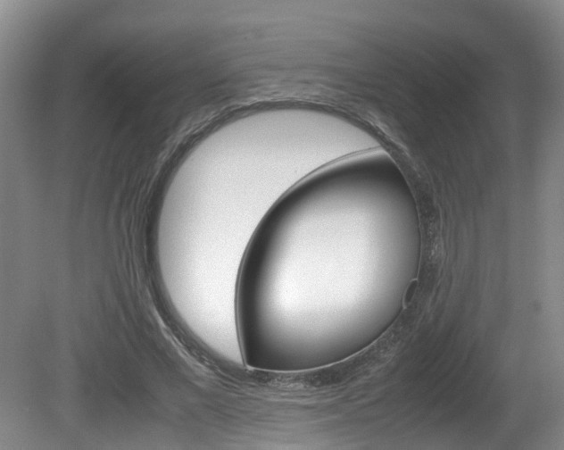 X0000081610685200701151120