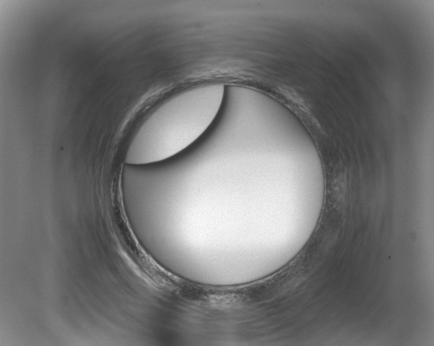 X0000081610686200701151120