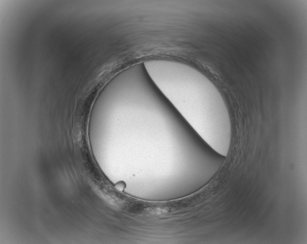 X0000081610687200701151120
