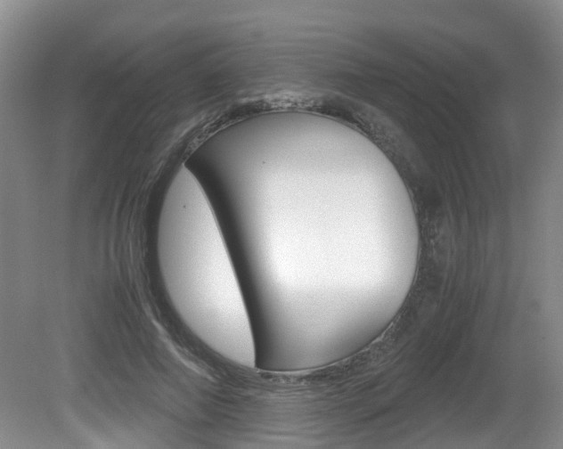 X0000081610690200701151120