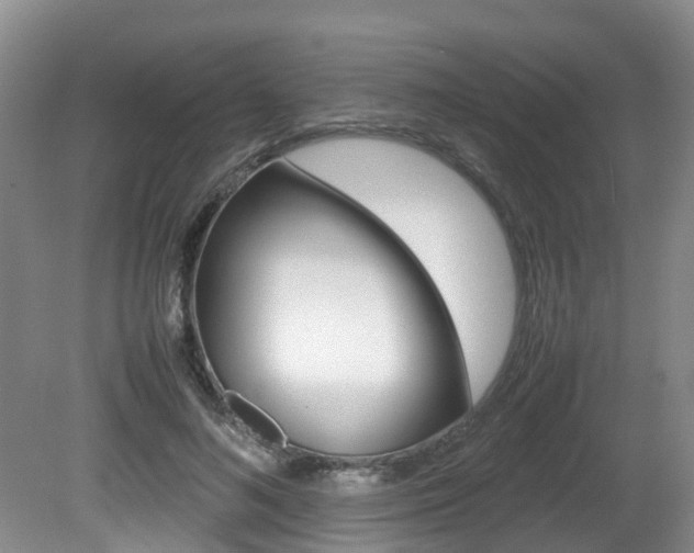 X0000081610692200701151120