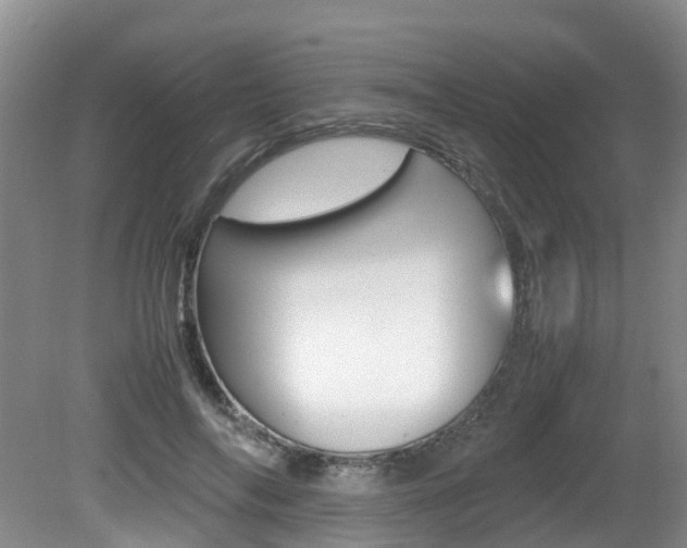 X0000081610694200701151120
