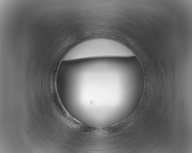 X0000081610696200701151120