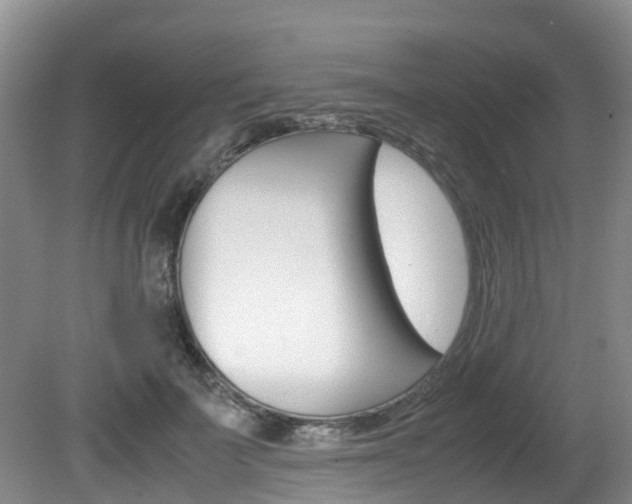 X0000081610699200701151120