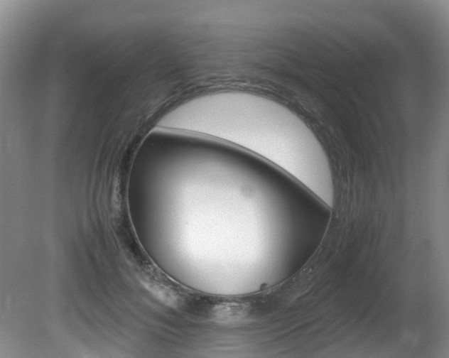 X0000081610700200701151120