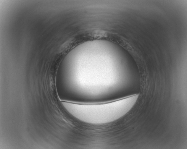 X0000081610704200701151120