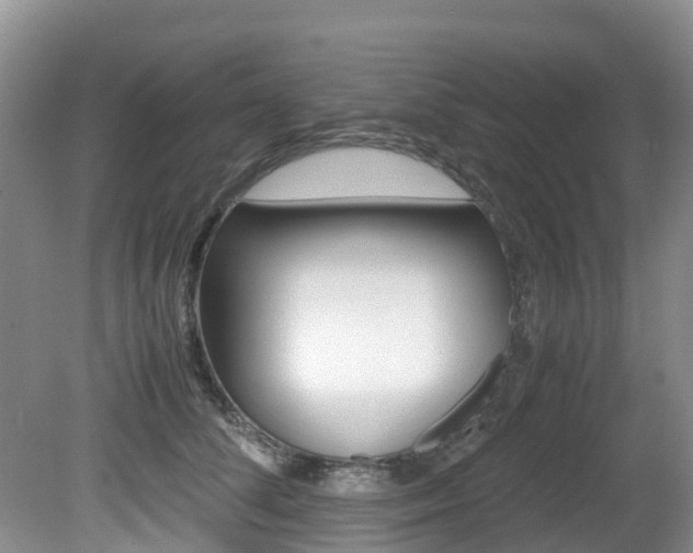 X0000081610708200701151120