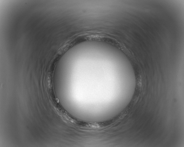 X0000081610715200701151120