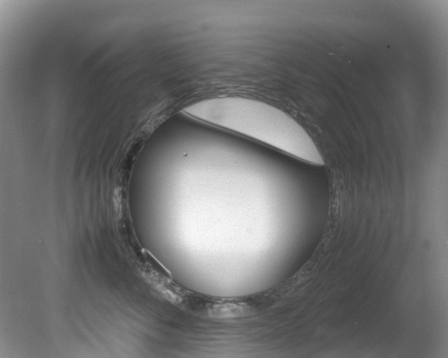 X0000081610716200701151120