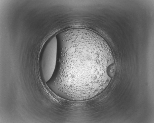 X0000081610721200701151119