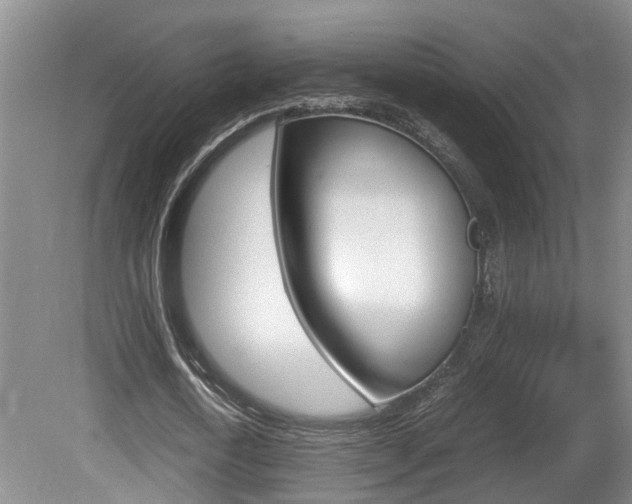 X0000081610722200701151119