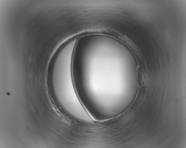 X0000081610724200701151119