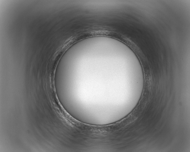 X0000081610729200701151119