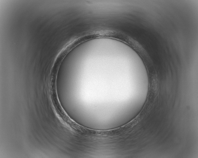 X0000081610730200701151119