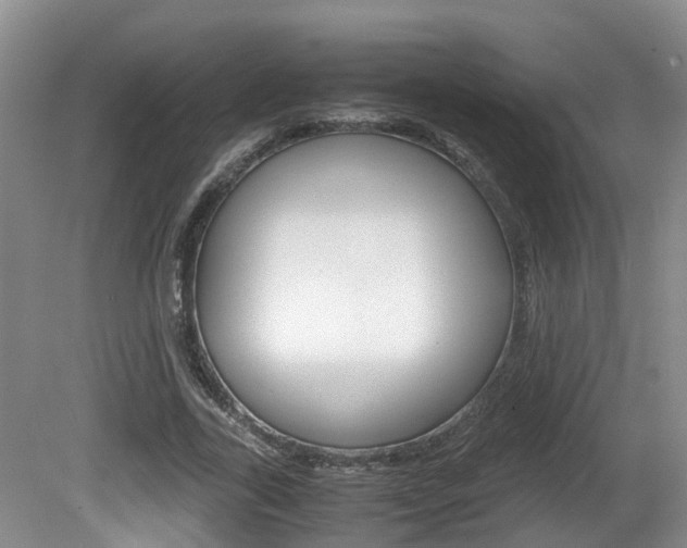 X0000081610731200701151119