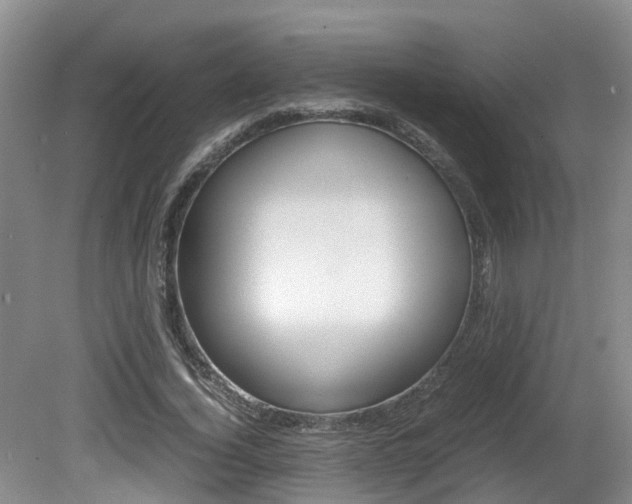 X0000081610732200701151119