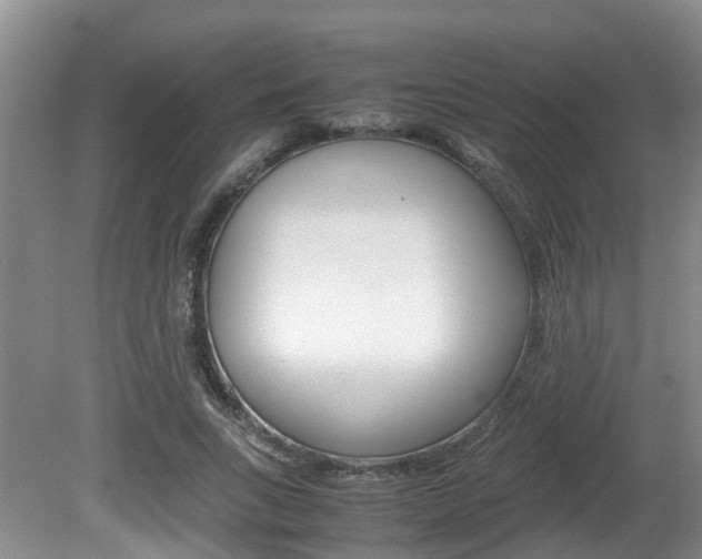 X0000081610735200701151119