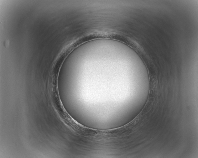 X0000081610736200701151119