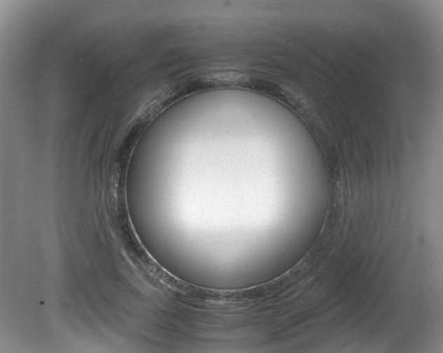 X0000081610739200701151119
