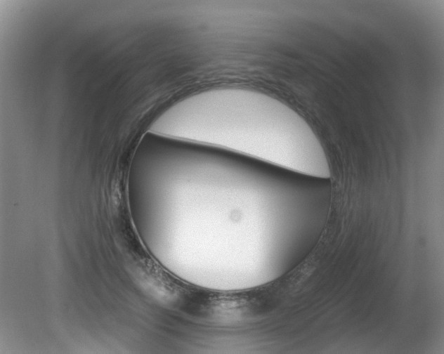 X0000081610746200701151119