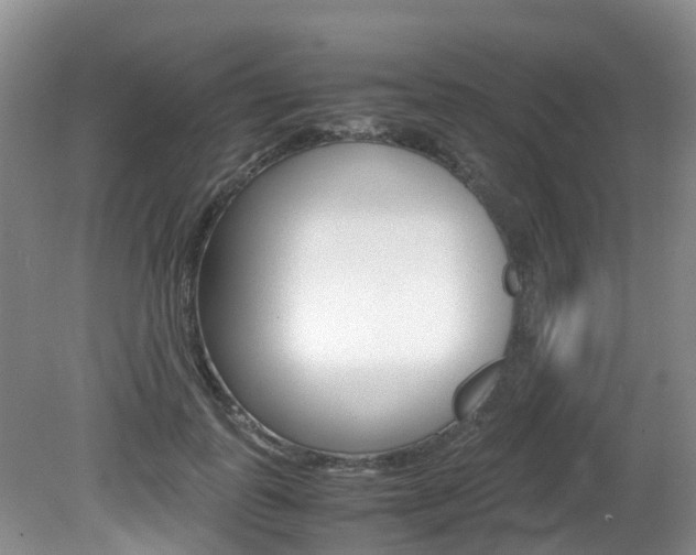 X0000081610747200701151120