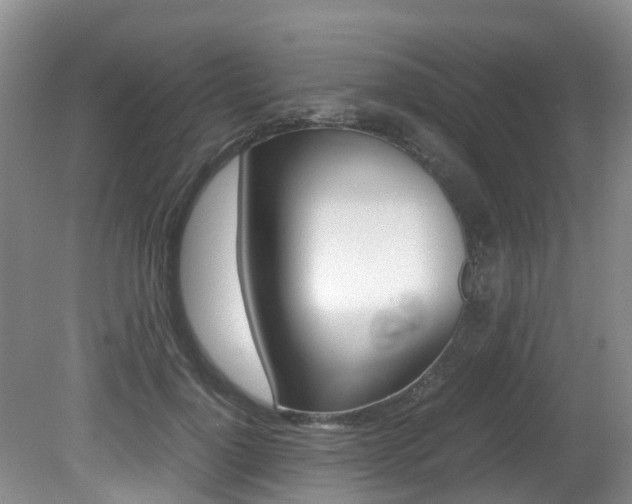 X0000081610748200701151120