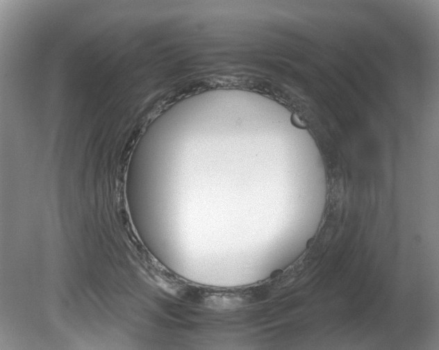 X0000081610749200701151120