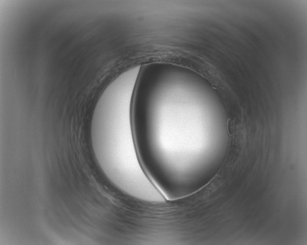 X0000081610750200701151120