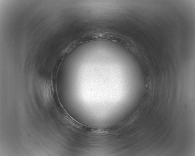X0000081610754200701151120