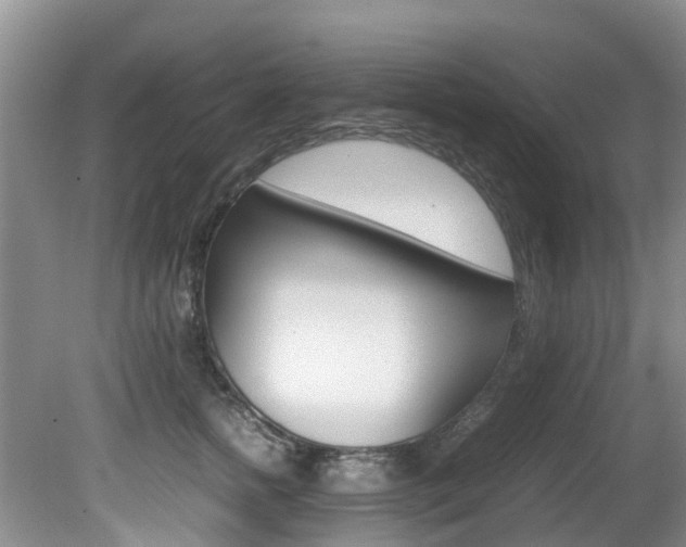 X0000081610758200701151120
