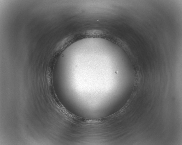 X0000081610762200701151120