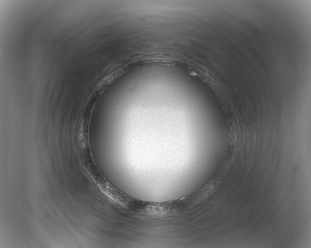 X0000081610764200701151120