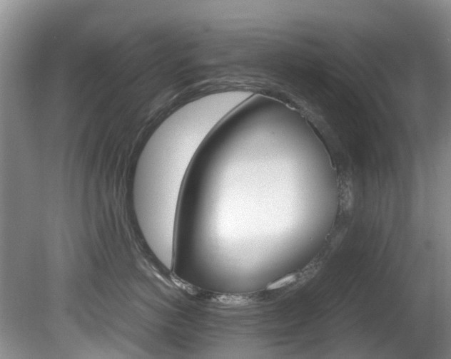 X0000081610766200701151120