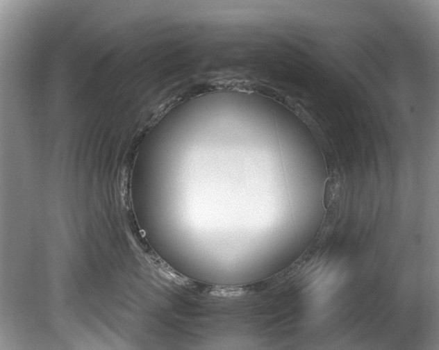 X0000081610767200701151120