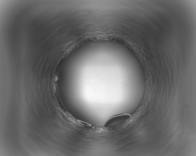 X0000081610768200701151120