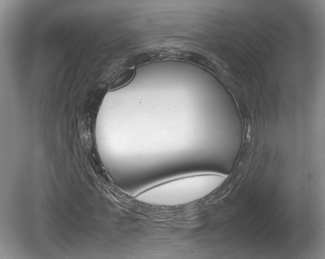 X0000081610771200701151119