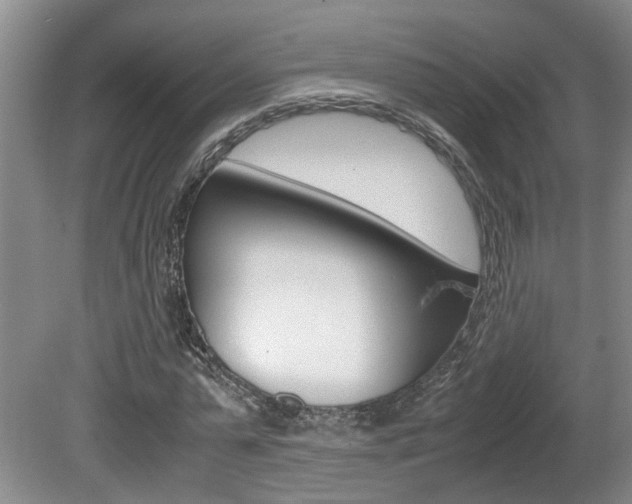 X0000081610775200701151119