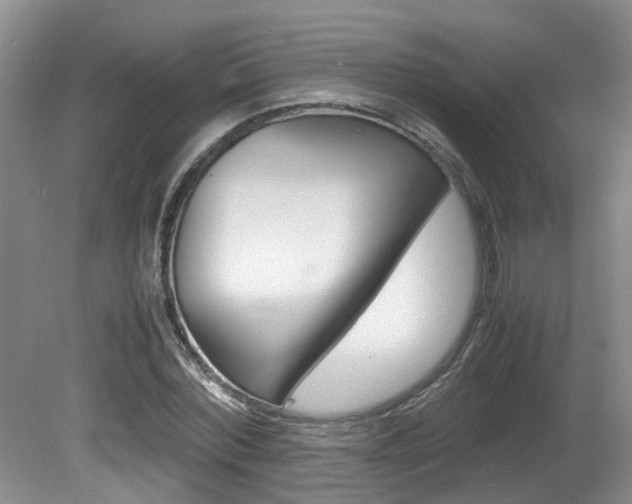 X0000081610780200701151119