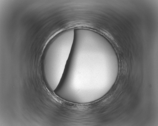 X0000081610782200701151119
