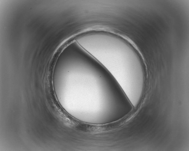 X0000081610783200701151119