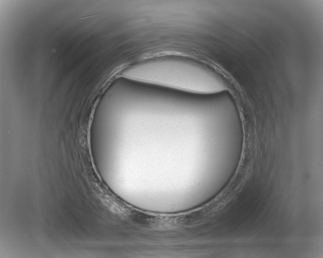 X0000081610785200701151119