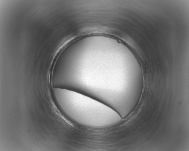 X0000081610790200701151119