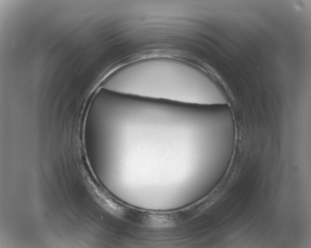 X0000081610794200701151119
