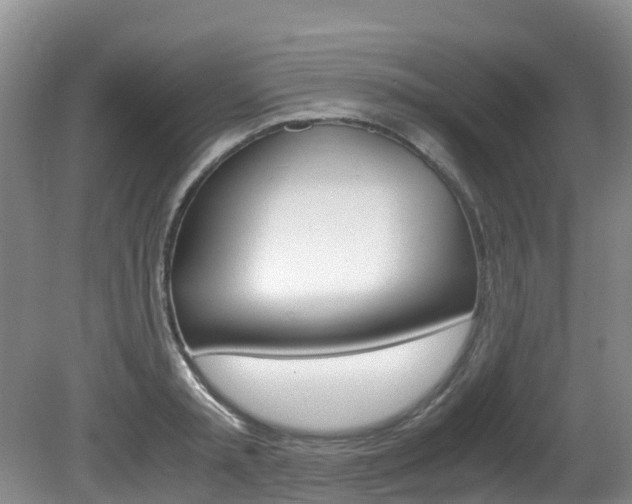 X0000081610797200701151119