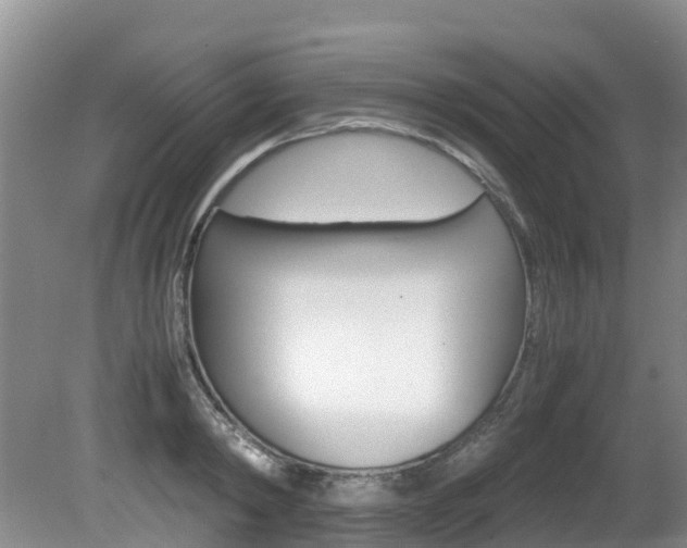 X0000081610798200701151119