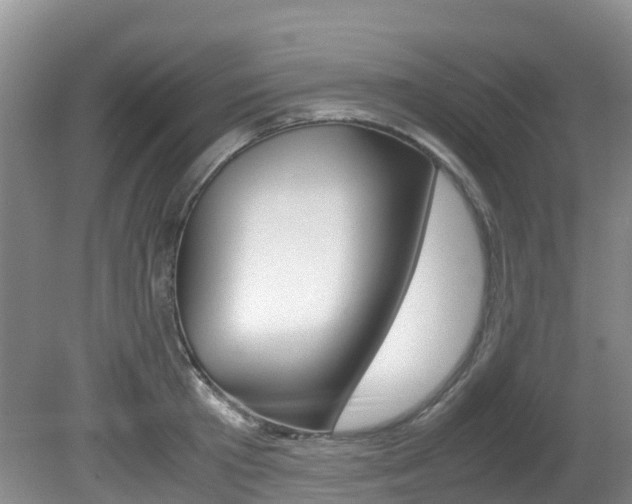 X0000081610801200701151118