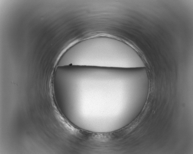 X0000081610806200701151118